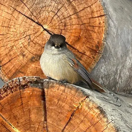 Saaruakuja 3 As 1-4 Apartmán