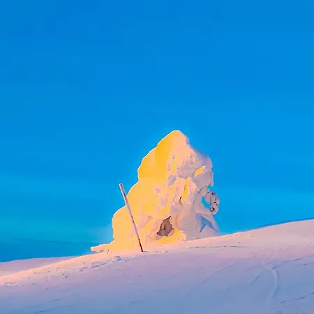 Apartamento Saaruakuja 3 As 1-4