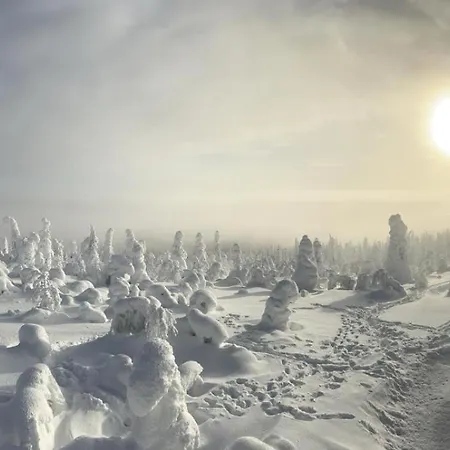 Saaruakuja 3 As 1-4 Apartmán *