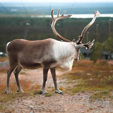 Saaruakuja 3 As 1-4 Apartmán