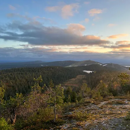 Saaruakuja 3 As 1-4 Apartmán *