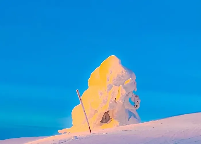 شقة Saaruakuja 3 As 1-4