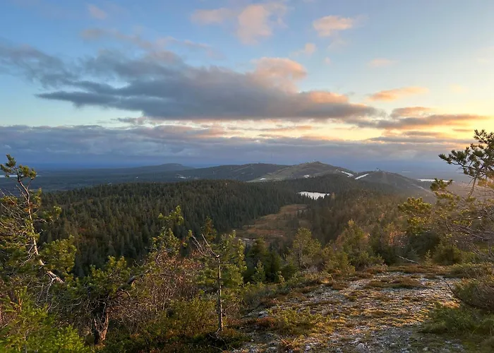 Saaruakuja 3 As 1-4 شقة *